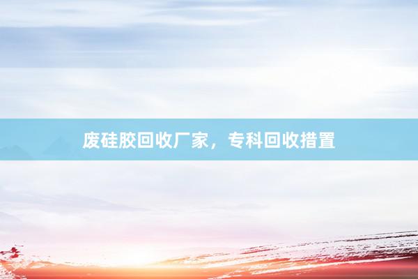 废硅胶回收厂家，专科回收措置