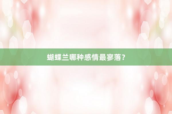 蝴蝶兰哪种感情最寥落?